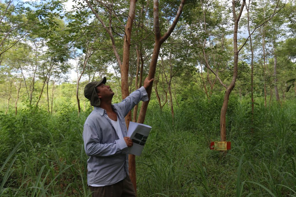 Site Restoration and Sustainable Management of Community Forest Using Multiple Use Tree Species and Agroforestry