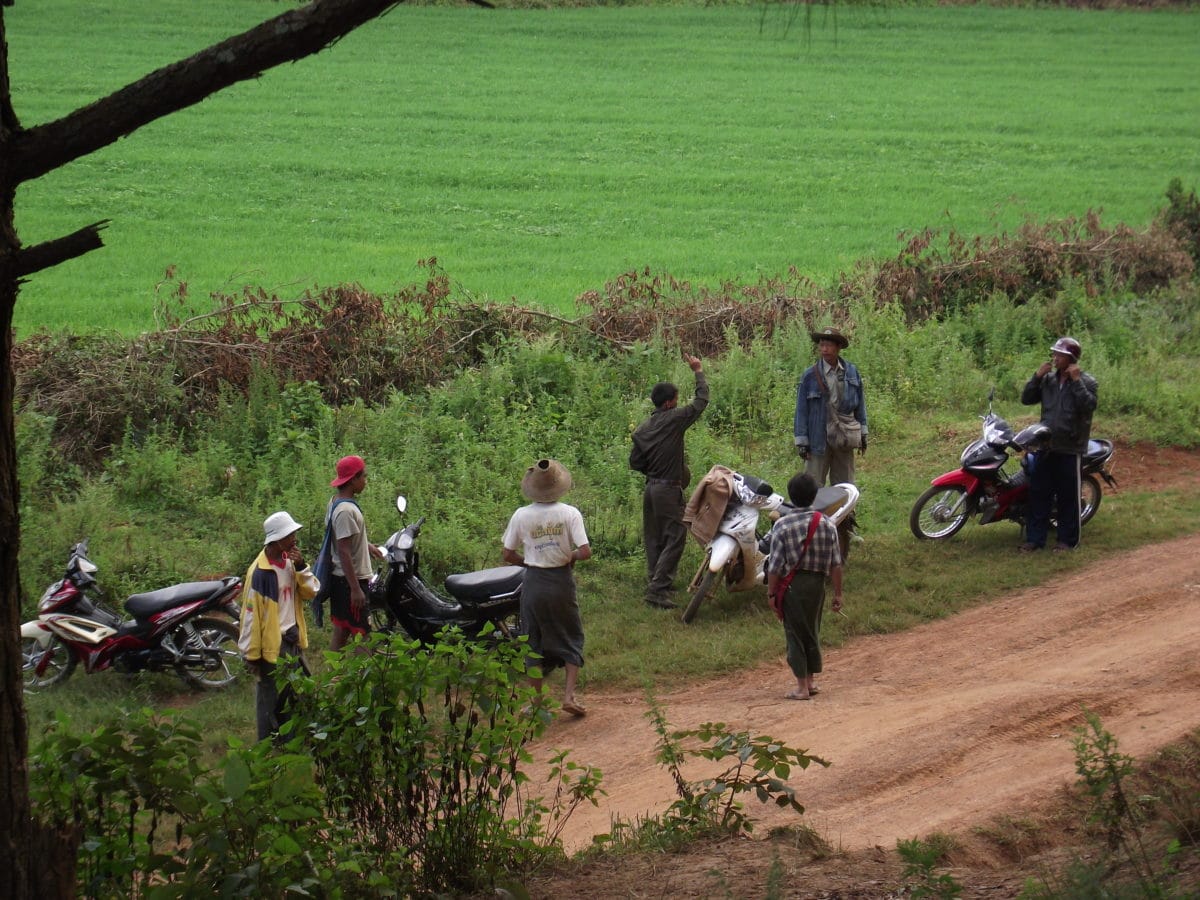 Integrated Pest and Disease Management in Teak Plantations in Bago Region, Myanmar
