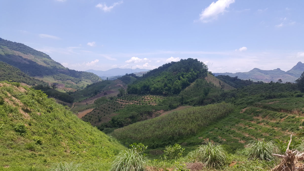 Rehabilitation of Degraded and Potentially Deserted Forest Land in the Northwest Region of Viet Nam through Application of Integrated Technical Measures
