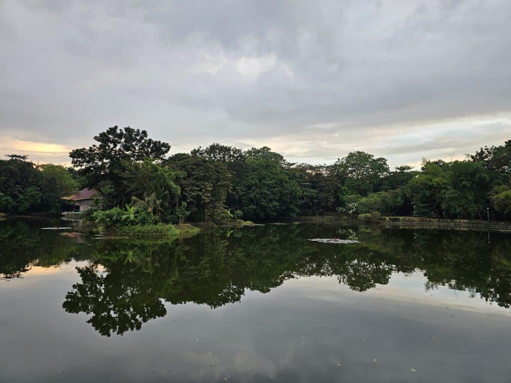 Ensuring Fuctioning of Cultural Ecosystem Services in an Urban Setting: Assimilating Nature for Forest Healing and Experiential Learning in Ninoy Aquino Parks and Wildlife Center